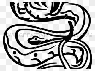 Snake Tattoo Clipart Transparent - Snake Draw Tattoo Png