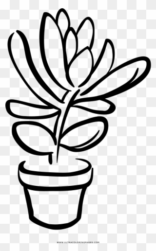 Succulent Coloring Page - Succulent Clipart Black And White - Png Download