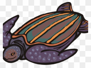 Sea Turtle Clipart Pond Turtle - Leatherback Turtle Drawing Cartoon - Png Download