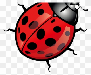Bugs Clipart Beetle - Ladybugs Vector Free - Png Download