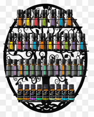 Essential Oil Organizer - Stained Glass Clipart