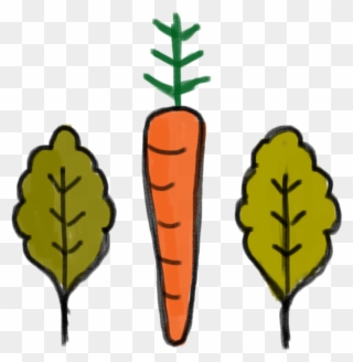 We Eat Food That Is Locally Grown, In The Right Way - Baby Carrot Clipart