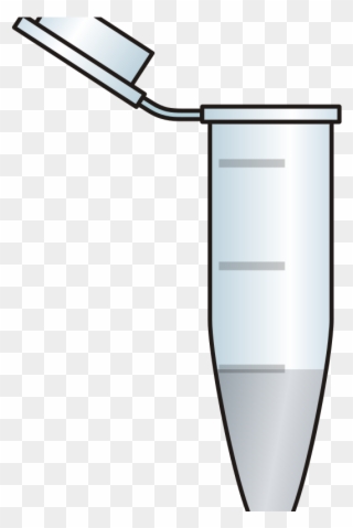 Medium Image - Eppendorf Clipart - Png Download