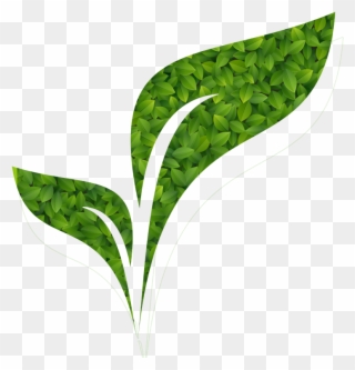 Organic Specialties For Synthesis - Illustration Clipart
