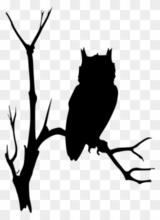 Owl Branches Tree - Owl In Tree Silhouette Clipart