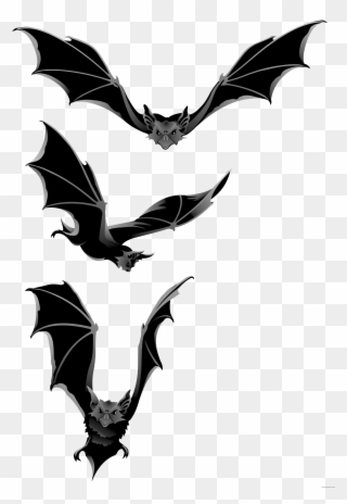 Bat Animal Free Black White Clipart Images Clipartblack - Halloween Bats Clipart Png Transparent Png