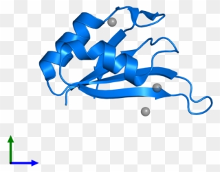 <div Class='caption-body'>pdb Entry 3bs9 Contains 1 - Graphic Design Clipart