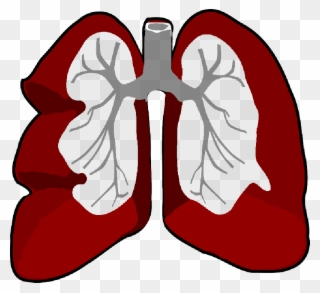 Free Pictures Outline - Lung Cancer Clipart Png Transparent Png