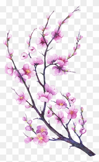 Made From Eggs, Oil, Water, Flour And Salt - Hand Drawn Apple Blossom Branches Clipart