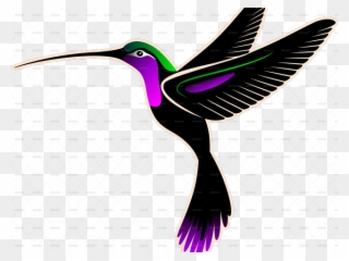 Drawn Hummingbird Png Transparent - Hummingbird Logo Png Clipart