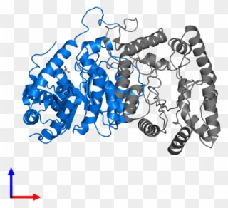 <div Class='caption-body'>pdb Entry 1brl Contains 1 - Graphic Design Clipart