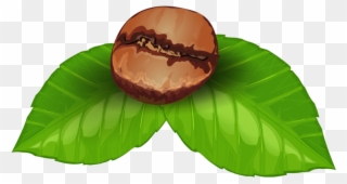 Coffee Bean Clipart Transparent - Png Download