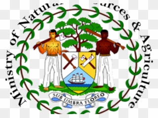 Farmland Clipart Economic Resource - Belize Flag Vector - Png Download