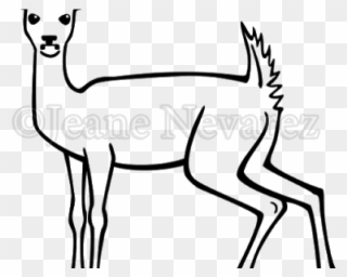 Antelope Clipart Topi - Draw Deer Female - Png Download