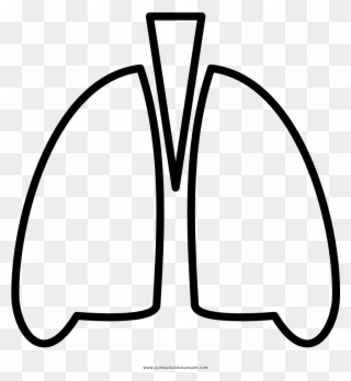 Lungs Coloring Page - Line Art Clipart