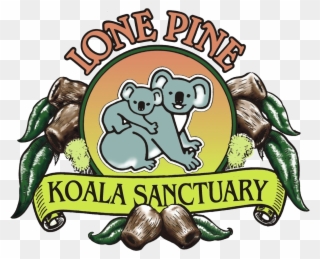 Guests To Lone Pine Koala Sanctuary - Lone Pine Sanctuary Logo Clipart