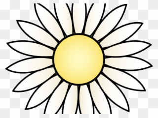 Daffodil Clipart Daisy Garden - Sunflower Black And White Png Transparent Png