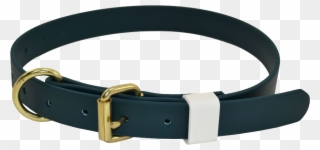 Dog Collar Png - Belt Clipart