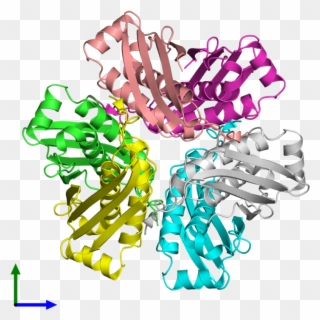 Pdb 2ohd Coloured By Chain And Viewed From The Front - Illustration Clipart