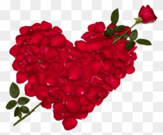 Valentines Day Roses Make Heart Transparent Png Images - Love Flower Clipart