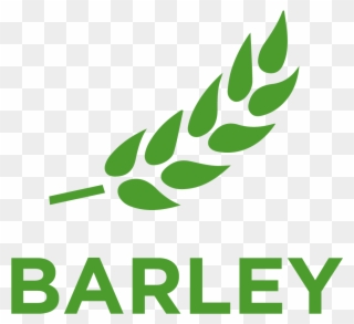 Barley , A Member Of The Poaceae Or Gramineae, Is A - Origami Baby Jesus Clipart