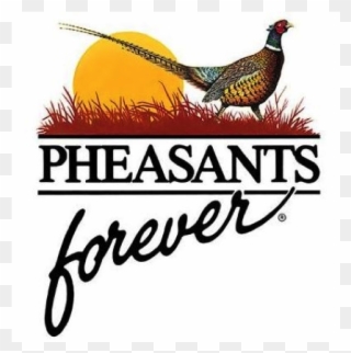 Pheasants Forever Clipart
