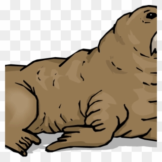 Walrus Clipart Panda Free Images Music - Png Морж Transparent Png