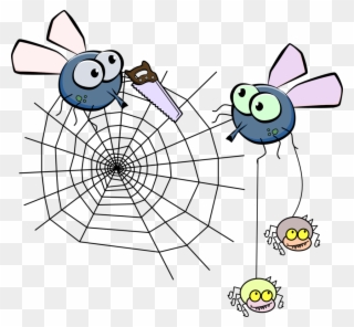 Fly After Drinking - Spider Web Clip Art - Png Download