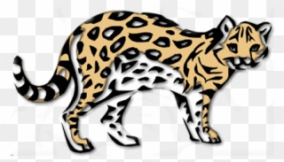 Ocelot - Clouded Leopard Clipart