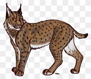 Clipart Lynx - Png Download