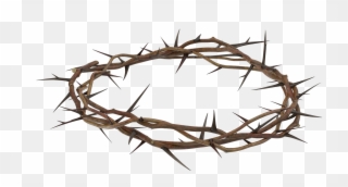 Crown Of Thorns Clipart