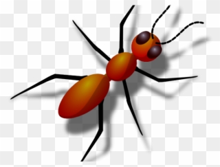 Ants Clipart Hungry - Ant With 6 Legs - Png Download