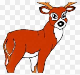 White Tailed Deer Clipart Illinois State - Red Deer Clipart - Png Download
