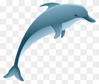 The Largest Free Transparent Png Images Clipart Catalog - Common Bottlenose Dolphin