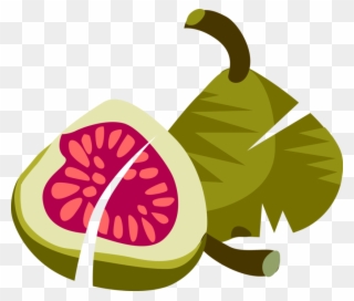 Vector Illustration Of Sliced Common Fig Fruit With - Fig Clip Art - Png Download