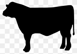 Download Png - Beef Cattle Svg Clipart