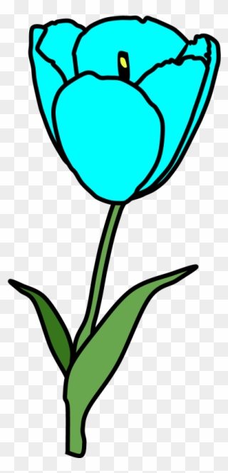 Tulip, Petals, Stamen, Bright Blue - Tulip Clipart