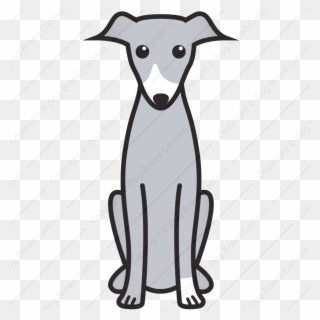 Italian Greyhound Vs Whippet - Cartoon Italian Greyhound Clipart