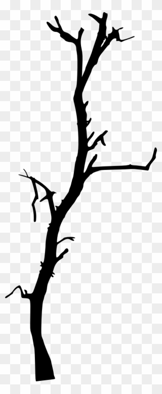 Free Download - Dead Branches Png Clipart