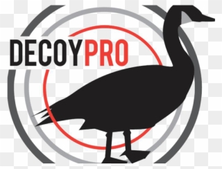Goose Clipart Goose Hunting - Waterfowl Hunting - Png Download