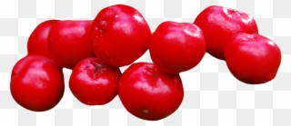Cranberry - Seedless Fruit Clipart