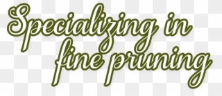 Specializing In Fine Pruning - Calligraphy Clipart