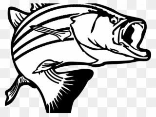 Download Clip Art Fish - Largemouth Bass Clipart Png Transparent Png