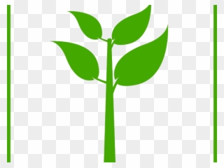 Stem Clipart Banana Stalk - Green Plant Icon Png Transparent Png