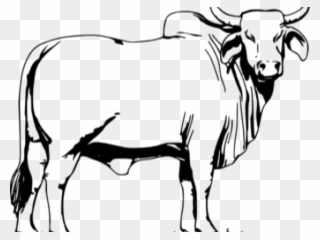Cattle Clipart Lembu - Bull Black And White Clip Art - Png Download
