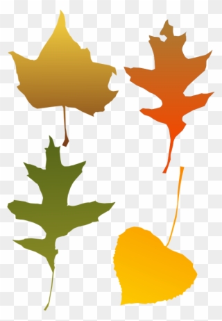 Clip Art - Autumn Leaf Clip Art - Png Download