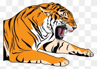 Tiger Clipart Transparent - Dibujos Para Dibujar De El Tigre - Png Download