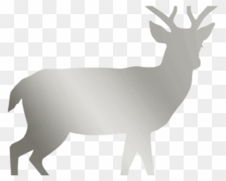 White Tailed Deer Clipart Clear Background - Doe Silhouette Target - Png Download