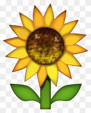 514 X 640 4 0 - Sunflower Iphone Emoji Png Clipart