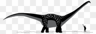 File Antarctosaurus Wikimedia Commons - Dinosaur To Human Size Comparison Clipart